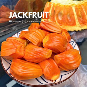 ผลไม้แห้งแช่แข็งแบบสุญญากาศ ชิ้นใหญ่ รูปทรงกลม ผลไม้แห้งเวียดนาม สำหรับการแปรรูปอาหาร - Product Image 5