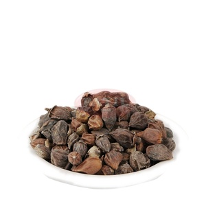 สารสกัดสมุนไพรจากเมล็ด Cordia Myxa Cordia Latifolia แบบแห้ง คุณภาพเกรด A+ บรรจุภัณฑ์สุญญากาศในถัง ขายส่ง - Product Image 1