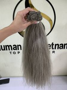 Extensión de cabello humano a granel, pedido de muestra, cabello sin procesar, cutícula virgen, color gris vietnamita - Product Image 2