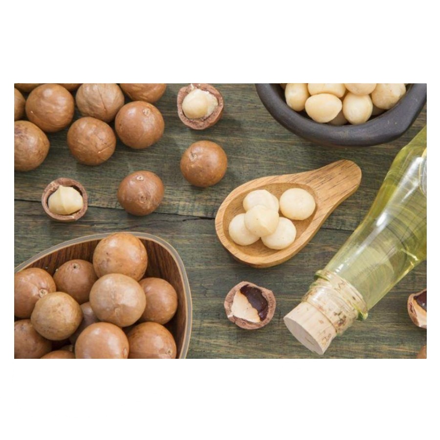 Лучшая цена, экспортное качество из Вьетнама, конкурентоспособная цена, питательный орех макадамии