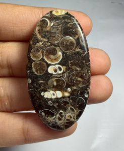 หินอาเกต TURRITELLA แบบคาโบชอง ขายส่งเป็นล็อตตามน้ำหนัก มีรูปทรงและขนาดต่างๆ ใช้สำหรับทำเครื่องประดับ - Product Image 3