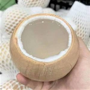 Agua de Coco Congelada en Envases a Granel al por Mayor - Product Image 1