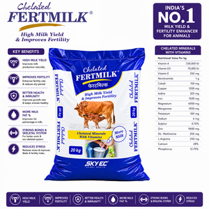 FertMilk, complément alimentaire chélaté de vitamines et de minéraux pour bovins, favorisant la production de lait, la graisse, le SNF et la croissance. |   Emballage : 20 kg - Product Image 4