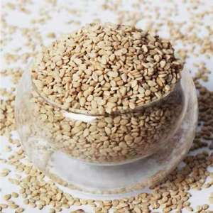Graines de sésame blanc cru pour la production d'huile de cuisson - Product Image 1
