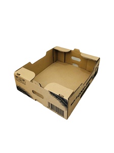 Basic Style Recycled Corrugated Cardboard Self Erecting Offset Printed Fruit Carton Low MOQ Vietnam Paper <b>Box</b> for Agriculture - Product Image 6