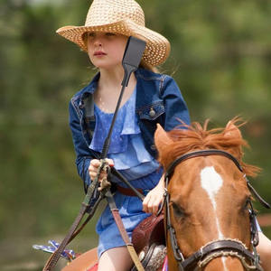 Fouet d'entraînement pour chevaux, très demandé, conçu pour des séances d'entraînement de contrôle du cavalier à réponse cohérente et pour une utilisation sportive équestre. - Product Image 6