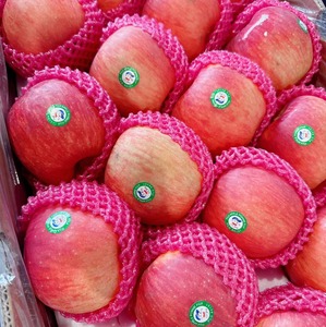 Manzanas Rojas Fuji Orgánicas Dulces y Crujientes de Primera Calidad al por Mayor, Recién Cosechadas, Nueva Cosecha, Listas para Exportar con Entrega Rápida, 2 Toneladas - Product Image 1