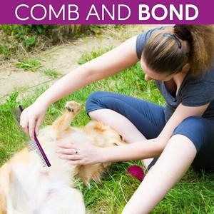 Peigne pour animaux de compagnie professionnel, écologique, classique, en acier inoxydable |   Outil de toilettage anti-rouille pour chiens et chats, à picots arrondis pour démêler les nœuds - Product Image 5