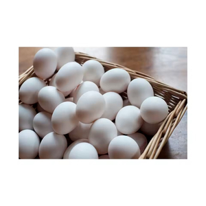 Œufs de table frais et fertiles de haute qualité, bruns et blancs, congelés, cuits, riches en protéines, 12 plateaux * 30 œufs, œufs de poule - Product Image 4