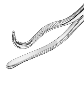 Pinzas de Extracción Manuales de Marca Personalizada, Patrón Americano, Certificación CE, Pinzas Quirúrgicas Dentales con Empuñadura Moleteada - Product Image 5
