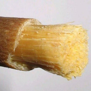 Palillo de Miswak para Limpieza Dental Herbal, Cepillo de Dientes Natural de Miswak para Viajes y Hogar - Product Image 3