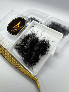 Extensions de cils 3D en volume, 0,1 mm, 12 mm, pré-fabriquées, en fibres synthétiques faites à la main, pour salons de cils professionnels (vente en gros) - Product Image 4