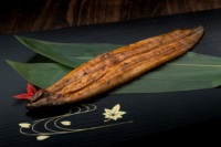 Anguille fraîche congelée de qualité supérieure, Unagi Kabayaki japonais, origine Kyushu, grillée au soja sucré