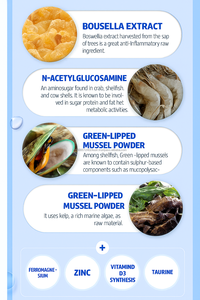 สารสกัดจากแคลเซียมและคอนดรอยตินที่ได้จากสาหร่ายทะเลความยืดหยุ่นในการเคลื่อนย้ายและปรับปรุงความหนาแน่นของกระดูกอาหารเสริมสำหรับผู้ใหญ่60ชิ้น - Product Image 2