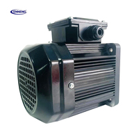 Motor Síncrono de Imán Permanente Trifásico Enneng de 4 Polos, 5.5-30KW, Protección IP55, Control Vectorial de Frecuencia Variable
