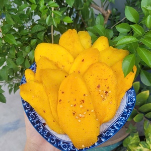มะม่วงอบแห้งหั่นเป็นชิ้น รสหวานนุ่มเป็นธรรมชาติ คุณภาพพรีเมียม ผลไม้อบแห้ง บรรจุภัณฑ์พกพาสะดวก น้ำตาลต่ำ - Product Image 4