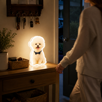 Personalisierte 3D-Induktionslampe für Heimdekoration im Schlafzimmer und als Geschenk für die Feiertage