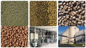 Machine d'alimentation de poisson flottante 10 tonnes <span class=keywords><strong>par</strong></span> <span class=keywords><strong>heure</strong></span> pour Machine de ligne d'alimentation flottante de poisson - Product Image 5