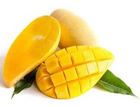 IQF Diepvries Mango Vietnam |   Bulk vacuüm verpakte natuurlijke zoete frisse mango's met groothandelsprijs - Meneer Alex Truong