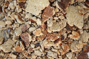 Poudre de Karanja Biologique, Engrais Multi-Usages, Engrais pour le Sol et les Cultures - Terra Bio Naturals Pvt Ltd, Fabricant et Exportateur du Tamil Nadu - Product Image 2
