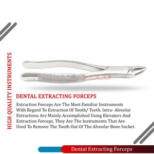 Manual German Stainless Steel Extracting Forceps 101 for Upper Lower Bicuspids Deciduous Teeth Universal Dental Extraction - Product Image 4