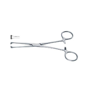Forceps Allis Professionnel, Forceps Chirurgical Allis, Outil de préhension des tissus avec mécanisme de verrouillage pour usage hospitalier et clinique - Product Image 2