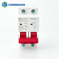 Disjoncteur miniature 2P DZ47 63A 230/400V 6kA pour la protection contre les surcharges et les courts-circuits