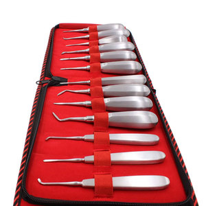 Instruments chirurgicaux pour extraction dentaire, implant dentaire, prix usine, ensemble d'élévateurs radiculaires orthodontiques, lot de 13 instruments dentaires - Product Image 1