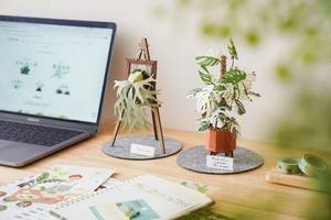 Fantástico Kit de Modelo de Papel Troquelado Hecho a Mano, Estilo Vintage, Plantas de Vapor, 2026-01, Rompecabezas Coleccionable de Arte 3D - Product Image 5