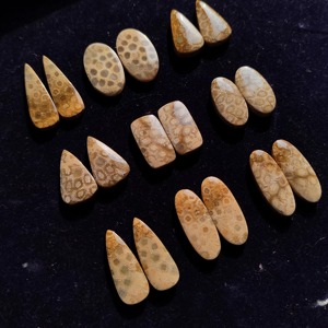 Offre Spéciale : Paire de Coraux Fossiles en Gros, Paire Assortie de Coraux Fossiles, Paire de Cabochons de Coraux Fossiles en Pierre Précieuse pour la Fabrication de Bijoux - Product Image 4