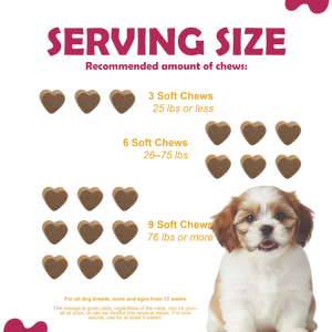 Muestra Gratuita de Vitaminas Masticables para Perros, Suplemento Vitamínico para Mascotas, Apoyo para Cadera y Articulaciones, Inmunidad, Salud del Corazón, Piel, Pelaje y Digestión - Product Image 3