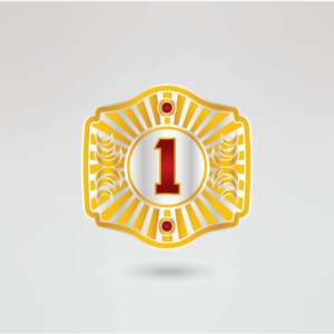 Ceinture de championnat KTW Tag Team, plaques métalliques dorées sur quatre côtés, détails complexes, sangle blanche, équipement de lutte personnalisé - Product Image 4
