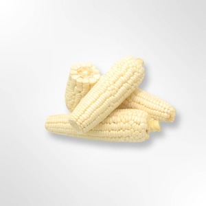 Maíz Blanco Puro 100% de Primera Calidad para Exportación al por Mayor, Suministro para Importadores, Granos Naturales, Empaque Limpio y Fuente a Granel Fresca - Product Image 2