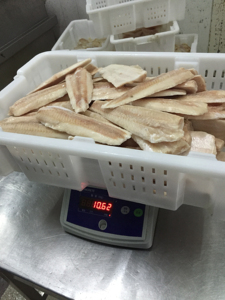Filets de Merluccius Capensis surgelés, avec peau, sans PBO, sans glaçage, certifiés MSC, qualité export premium, IQF (Merluccius Capensis) 2-4 - Product Image 6