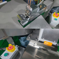 Machine automatique de remplissage et d'emballage de sacs en filet électrique avec contrôle PLC pour l'emballage de l'ail et du gingembre en cartons/sachets