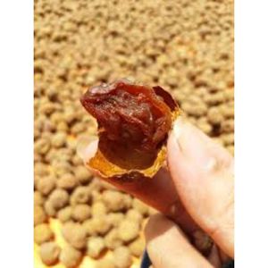 Délice de Litchi Pur du Vietnam, Snack Sain et Moelleux, Vente en Gros - Product Image 3