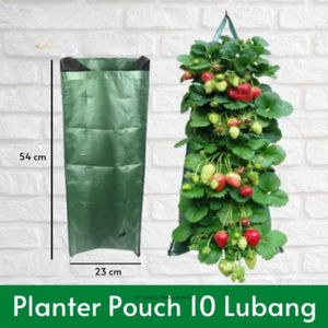 Jardinière verticale de haute qualité à 10 poches, sac de culture suspendu en HDPE, pochette murale pour plantes, jardinière pour fraises et herbes - Product Image 2