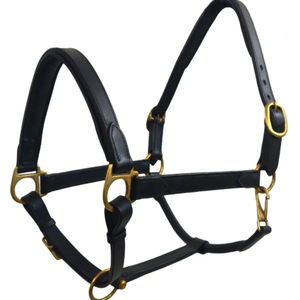 Cabestro Ajustable para Caballo de Cuero Genuino Premium Royal International con Latón Sólido |   Herrajes Resistentes para Establos Ecuestres - Product Image 3