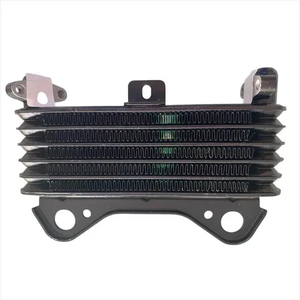 Refroidisseur d'huile pour BAJAJ AN121205, pièces détachées de tuk-tuk à trois roues, remplacement OEM de haute qualité - Product Image 1