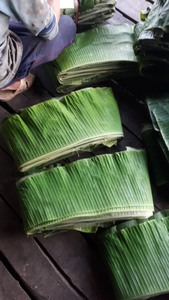 Feuilles de bananier de haute qualité du Vietnam, meilleur choix de prix pour les légumes entiers frais congelés et séchés - Product Image 5