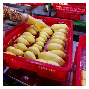 Durian surgelé 100% naturel d'origine Vietnamienne, IQF, emballé sous vide, prêt à consommer, sans additifs, qualité export - Product Image 1