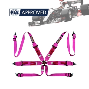 Ceinture de sécurité de course automobile haute performance homologuée FIA, harnais 6 points TBRACING SPORT S Supply - Product Image 3