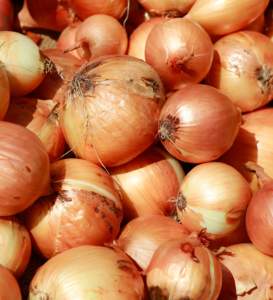 Wholesale Factory Direct <b>Sale</b> at Competitive Price Wholesale Fresh Organic 5-8cm Red Onions <b>For</b> <b>Sale</b> Available At Wholesale rate - Product Image 1