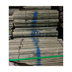 ราคาสุดคุ้ม ไม้ไผ่สดจากฟาร์มบลูโลตัส เวียดนาม ขนาด 50-100 ซม. 5-60 มม. - Product Image 2