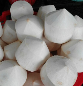 น้ำมะพร้าวธรรมชาติพรีเมียม – ไม่มีน้ำตาล ดีต่อสุขภาพ สดชื่น และช่วยเติมน้ำให้ร่างกาย // มิสเตอร์ทอม - Product Image 3