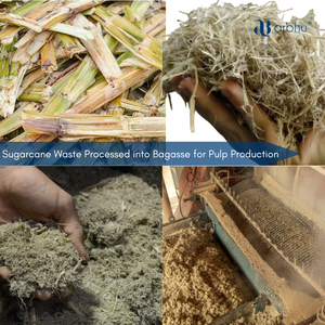 Rigid Bagasse Round Food Plate Compostable Sugarcane Fiber <b>Tableware</b> Wholesale Bulk Eco Friendly <b>Disposable</b> Packaging Option - Product Image 4