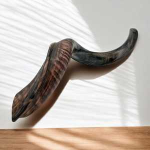 Cuerno de Shofar Kosher Pulido |   Corneta Religiosa Real Touch de Uttar Pradesh |   Chofar Judío - Product Image 2