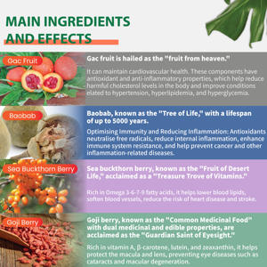 Inflamax Daily Vitality Sachets Fórmula antioxidante antiinflamatoria natural Suplemento de hierbas en polvo Baobab Sea Buckthorn - Product Image 2