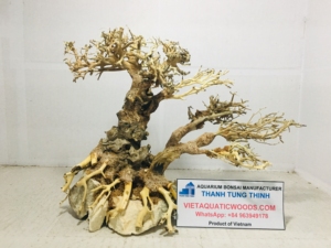 Décorations d'aquarium en bois flotté naturel de haute qualité, forme irrégulière, écologiques, ornement pour aquarium fabriqué au Vietnam - Product Image 2