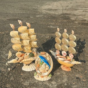 Seashell Handicraft polished ocean <b>shell</b> material for tabletop decoration and coastal <b>ornament</b> Vietnam supplier - Product Image 2